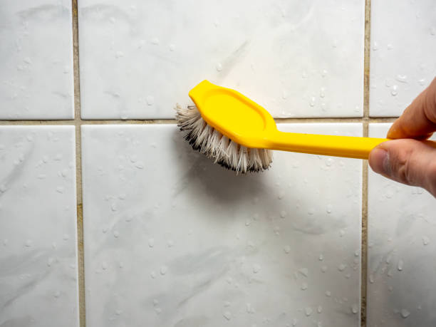 Best Home Mold Removal  in Crosspointe, VA