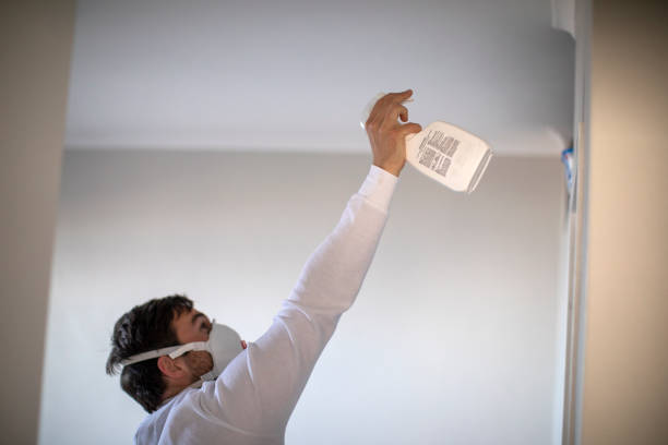 Best Local Mold Removal Service  in Crosspointe, VA