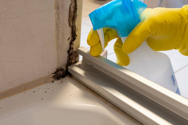 Best Residential Mold Removal  in Crosspointe, VA