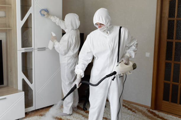 Professional Mold Removal in Crosspointe, VA