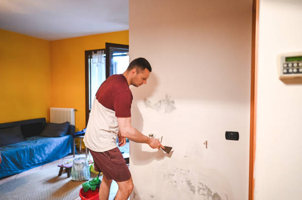 Best Crawl Space Mold Removal  in Crosspointe, VA