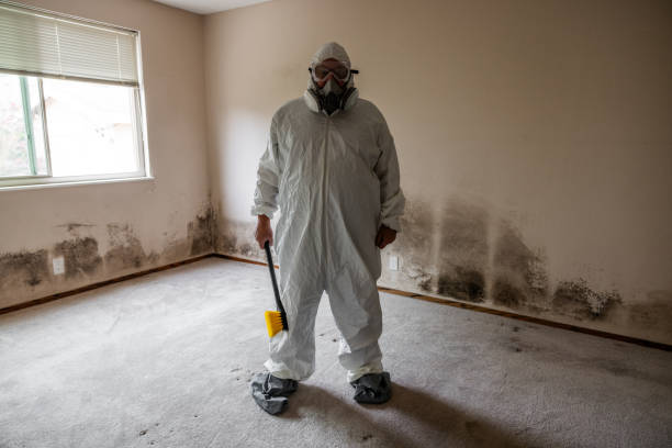 Mold Removal and Inspection in Crosspointe, VA