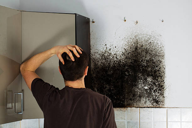 Best Mold Testing  in Crosspointe, VA