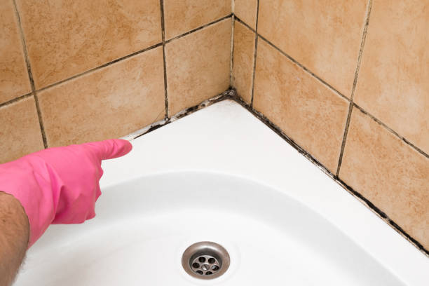 Best Mold Removal Company Near Me  in Crosspointe, VA